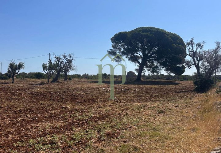 Ruïna a Carovigno, Brindisi, Carovigno - € 225.000 | Ref: Casolare e Trul - foto 1